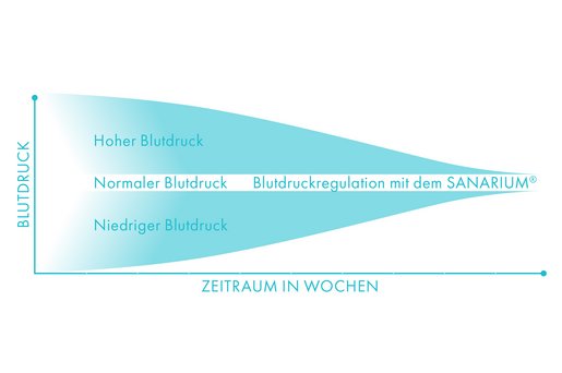 Blutdruckregulation